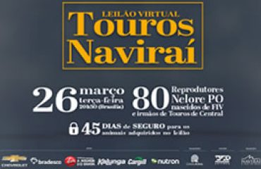 Leilão de Touros Navirai 26/03/2019